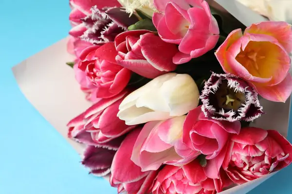 Açık mavi arkaplanda güzel laleler, yakın plan.