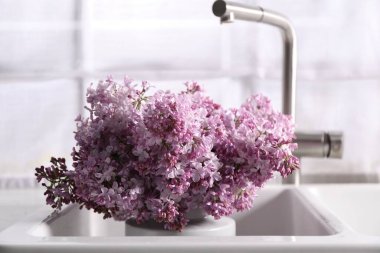 Mutfak lavabosunda güzel leylak çiçekleri, yakın çekim.