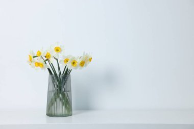 Beyaz masadaki vazodaki güzel nergisler, metin için yer.