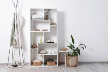 Farklı ayakkabı, aksesuar, giysi ve ev bitkilerine sahip raf ünitesi. Ayakkabı deposu