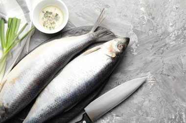 Tuzlu ringa balıkları, baharatlar ve bıçak gri masada, düz yerde. Metin için boşluk