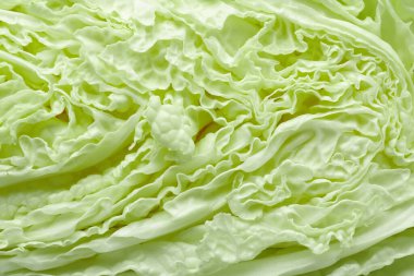 Arka plan olarak taze yeşil Çin lahanası, yakın plan.