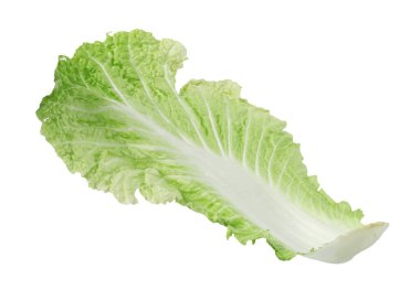 Beyaz tenli taze Çin lahanası.