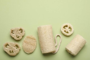 Yeşil arka planda doğal lif süngeri, düz. Metin için boşluk