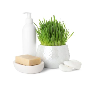 Spa composition with wheatgrass isolated on white