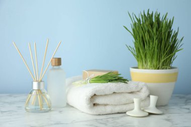 Spa composition with wheatgrass on white marble table