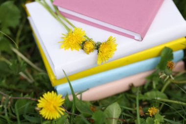 Yeşil çimlerin üzerinde karahindiba çiçekleri olan kitaplar, yakın plan.