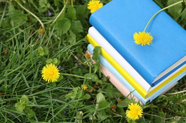 Yeşil çimlerin üzerinde karahindiba çiçekleri olan kitaplar, yakın plan.