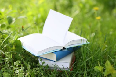 Yeşil çimenler üzerine farklı istiflenmiş kitaplar.