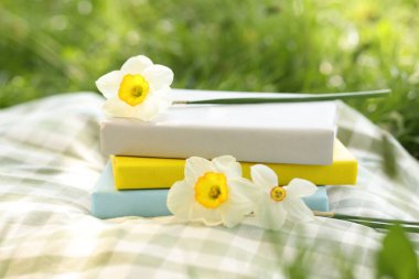 Saklanmış kitaplar, nergis çiçekleri ve yeşil çimlerin üzerinde battaniye, yakın plan.