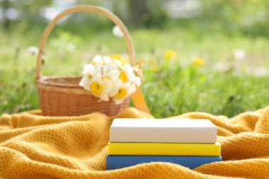 Yığılmış kitaplar, battaniye ve hasır sepet. Yeşil çimlerin üzerinde nergis çiçekleri, yakın plan.