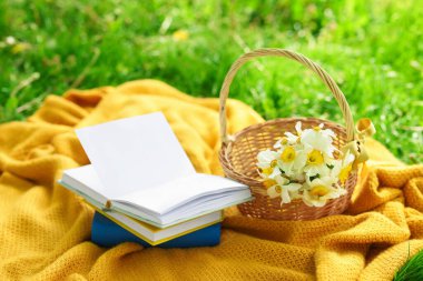 Yığınlanmış kitaplar, battaniye ve hasır sepet yeşil çimlerin üzerinde nergis çiçekleri