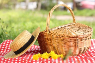 Hasır sepet, karahindiba çiçekleri, hasır şapka ve yeşil çimlerin üzerinde battaniye.