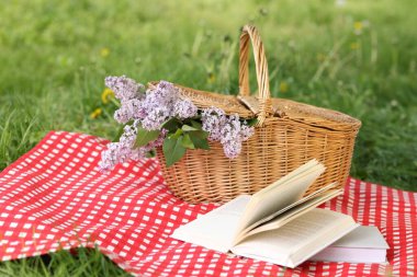 Kitaplar, battaniye ve hasır sepet açık yeşil çimlerde leylak çiçekleri
