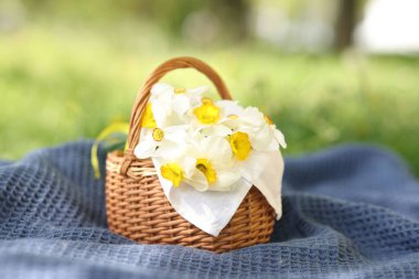 Battaniyeli nergis çiçekli hasır sepet, yakın plan.