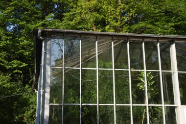 Parkta farklı güzel bitkiler olan bir sera.