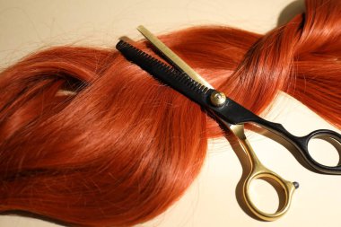 Bej arkaplanda saç kilitleri ve makas, üst görünümde