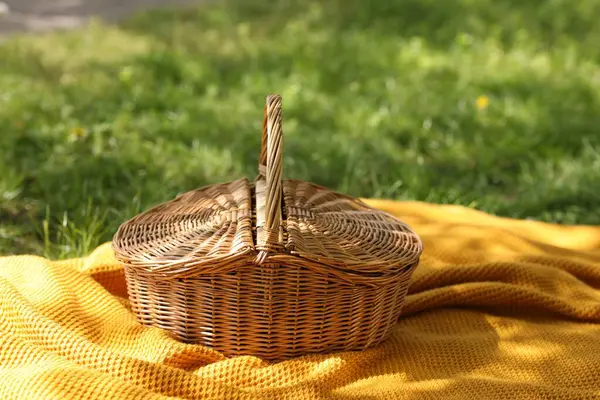 Dışarıdaki yeşil çimlerin üzerinde hasır sepet ve battaniye