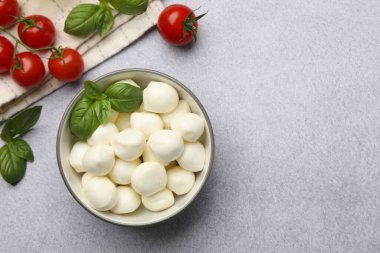 Lezzetli mozzarella peynirli toplar, domatesler ve açık gri masada fesleğen, düz yatak. Metin için boşluk