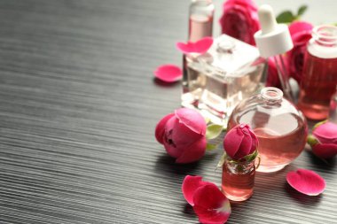 Gri ahşap masada aromatik esanslı yağlar ve güllerle parfüm şişelerini açın. Yakın plan. Metin için boşluk