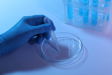 Bilim adamı, ışık arka planında petri kabından pipetle örnek alıyor. Yakın plan.