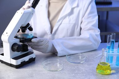 Mikroskop ve petri kaplarıyla çalışan bilim adamları laboratuarda, yakın planda.