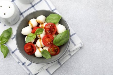 Mozarella soslu lezzetli salata, domates ve fesleğen. Metin için boşluk