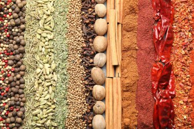 Arka plan olarak birçok farklı baharat, üst görünüm