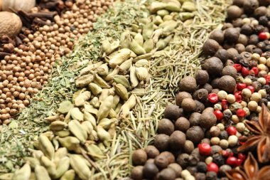 Arkaplan olarak birçok farklı baharat, yakın görünüm