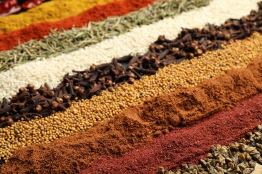 Arkaplan olarak birçok farklı baharat, yakın görünüm