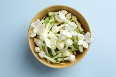 Güzel yasemin çiçekleri açık mavi arka planda kasede, üst manzara