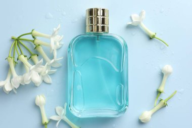 Parfüm ve yasemin çiçekleri açık mavi arka planda, düz yerde