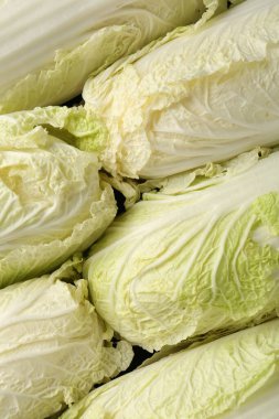 Arka plan olarak taze Çin lahanaları, üst görünüm