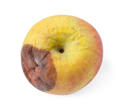 Bir çürük elma beyazda izole edilmiş.