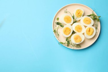 Açık mavi arka planda haşlanmış yumurta ve mikro yeşiller, üst manzara. Metin için boşluk