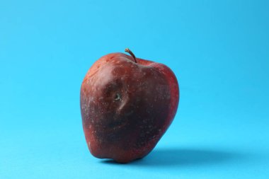 Açık mavi arkaplanda bir çürük kırmızı elma