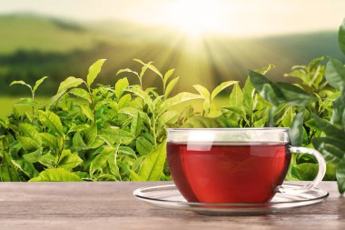 Dağlardaki çay tarlasına karşı ahşap masada bir fincan çay. Metin için boşluk