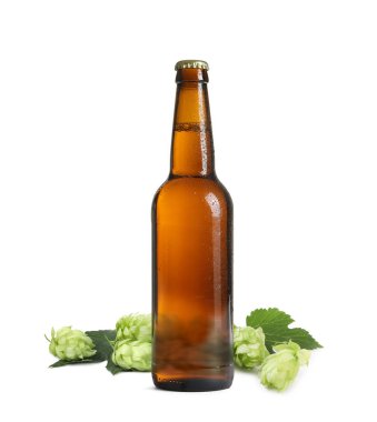 Cam şişede taze bira ve beyaz arka planda yaprakları olan zıplayan çiçekler.