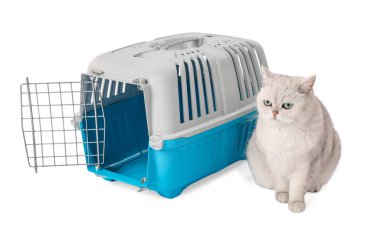 Sevimli kedi ve evcil hayvan taşıyıcısı beyaz üzerinde izole edilmiş.