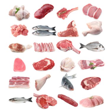 Balık ve et. Beyaz arka planda farklı ham ürünler, kolaj