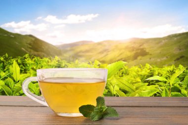 Dağlardaki çay tarlasına karşı ahşap masada bir fincan yeşil çay. Metin için boşluk