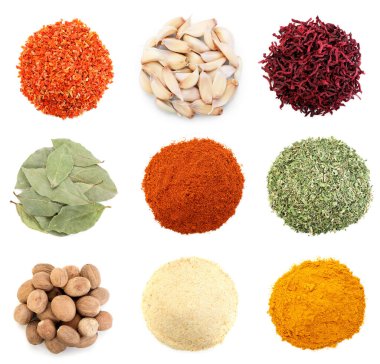 Beyaz arka planda farklı aromatik baharatlar, set. Üst görünüm