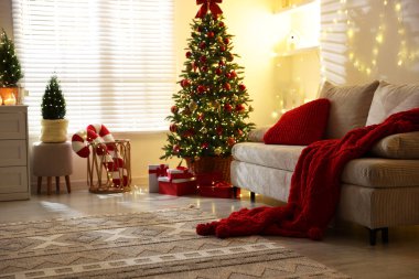 Güzel Noel ağacı ve odadaki diğer dekorlar. Şenlikli iç tasarım