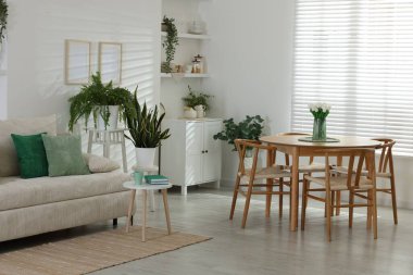 Rahat bir kanepe, masa, sandalyeler ve yeşil ev bitkileri. İç tasarım