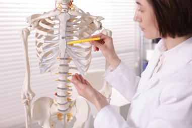 Doktor klinikteki insan iskeleti parçalarına işaret ediyor.