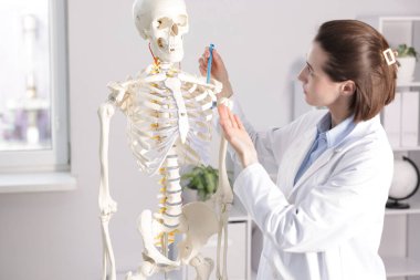 Doktor klinikteki insan iskeleti modelini işaret ediyor.