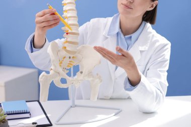 Doktor, klinikteki masadaki insan omurga modeline işaret ediyor.