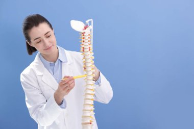 Doktor, mavi duvarın yakınındaki insan omurga modelini işaret ediyor. Metin için boşluk