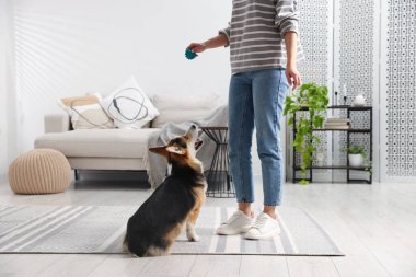 Oyuncağı olan bir kadın köpeğini evde eğitiyor.