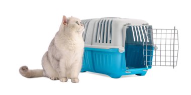 Sevimli kedi ve evcil hayvan taşıyıcısı beyaz üzerinde izole edilmiş.